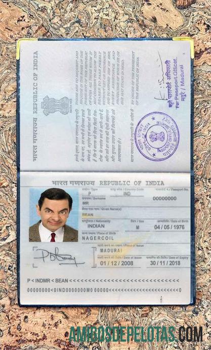 Foto do passaporte da Índia amostra